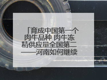 育成中国第一个肉牛品种 肉牛冻精供应量全国第二——河南如何继续牛劲十足