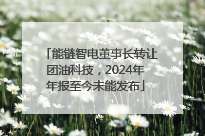 能链智电董事长转让团油科技，2024年年报至今未能发布