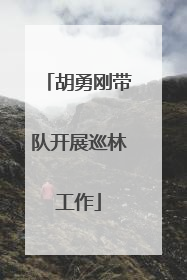 胡勇刚带队开展巡林工作