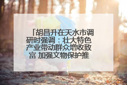 胡昌升在天水市调研时强调：壮大特色产业带动群众增收致富 加强文物保护推动文化创新发展