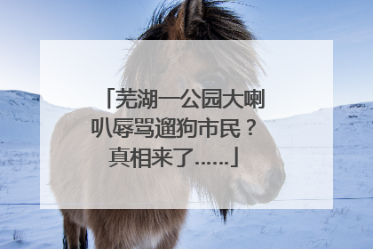 芜湖一公园大喇叭辱骂遛狗市民？真相来了……