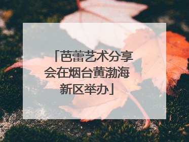 芭蕾艺术分享会在烟台黄渤海新区举办