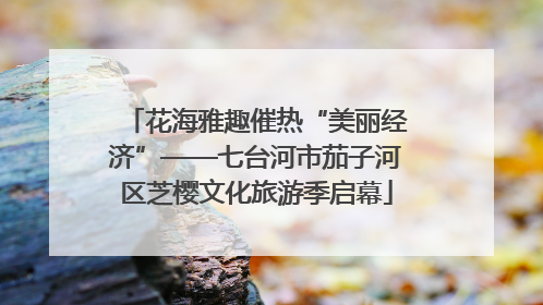 花海雅趣催热“美丽经济”——七台河市茄子河区芝樱文化旅游季启幕