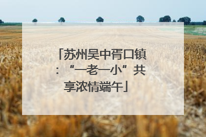 苏州吴中胥口镇：“一老一小”共享浓情端午
