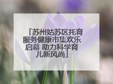 苏州姑苏区托育服务健康市集欢乐启幕 助力科学育儿新风尚