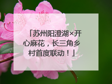 苏州阳澄湖×开心麻花，长三角乡村首度联动！