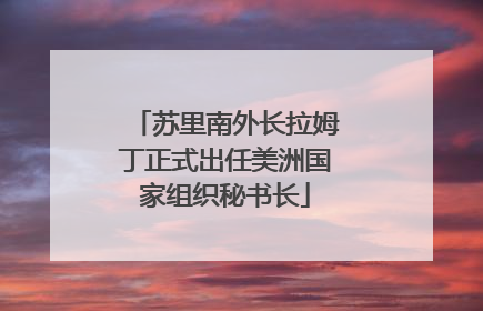 苏里南外长拉姆丁正式出任美洲国家组织秘书长