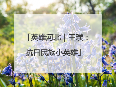 英雄河北｜王璞：抗日民族小英雄