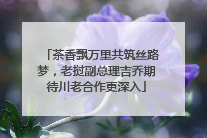 茶香飘万里共筑丝路梦，老挝副总理吉乔期待川老合作更深入