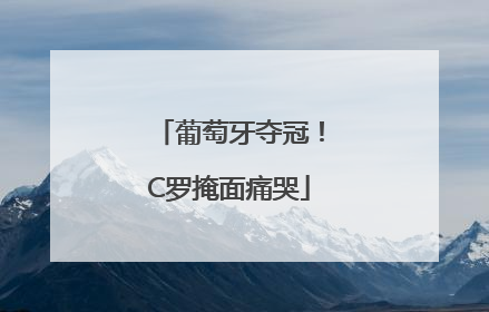 葡萄牙夺冠！C罗掩面痛哭