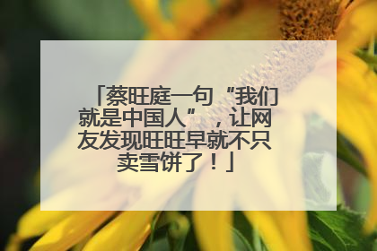 蔡旺庭一句“我们就是中国人”，让网友发现旺旺早就不只卖雪饼了！