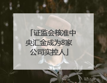 证监会核准中央汇金成为8家公司实控人