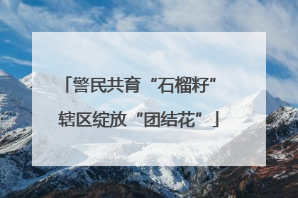 警民共育“石榴籽” 辖区绽放“团结花”