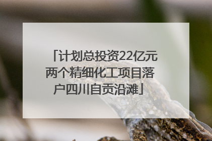 计划总投资22亿元 两个精细化工项目落户四川自贡沿滩