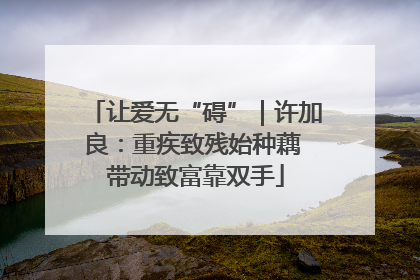 让爱无“碍”｜许加良：重疾致残始种藕 带动致富靠双手
