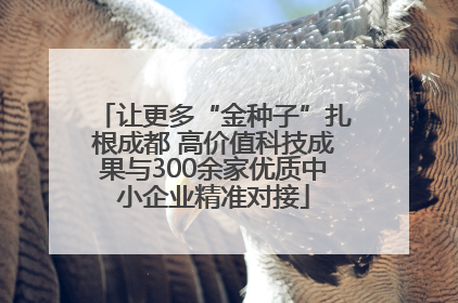 让更多“金种子”扎根成都 高价值科技成果与300余家优质中小企业精准对接
