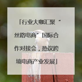 行业大咖汇聚“丝路电商”国际合作对接会，热议跨境电商产业发展