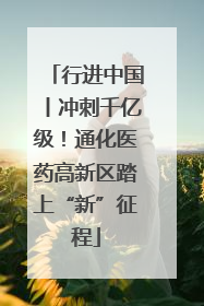 行进中国丨冲刺千亿级！通化医药高新区踏上“新”征程