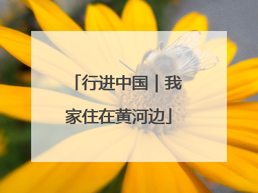 行进中国｜我家住在黄河边