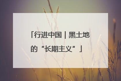 行进中国｜黑土地的“长期主义”