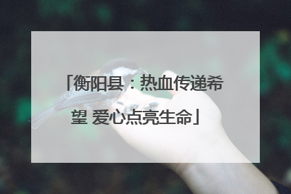 衡阳县：热血传递希望 爱心点亮生命