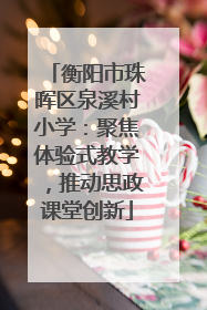 衡阳市珠晖区泉溪村小学：聚焦体验式教学，推动思政课堂创新