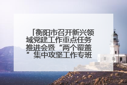衡阳市召开新兴领域党建工作重点任务推进会暨“两个覆盖”集中攻坚工作专班 第一次会议