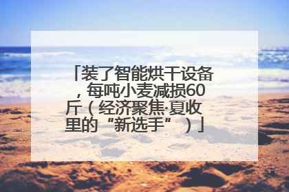 装了智能烘干设备，每吨小麦减损60斤（经济聚焦·夏收里的“新选手”）