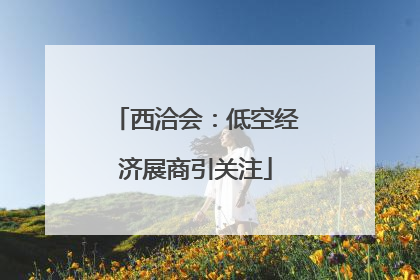 西洽会：低空经济展商引关注