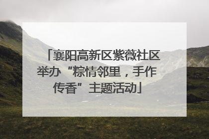 襄阳高新区紫薇社区举办“粽情邻里，手作传香”主题活动
