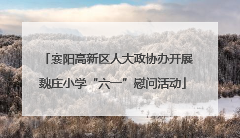 襄阳高新区人大政协办开展魏庄小学“六一”慰问活动