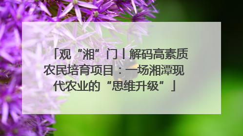 观“湘”门丨解码高素质农民培育项目：一场湘潭现代农业的“思维升级”