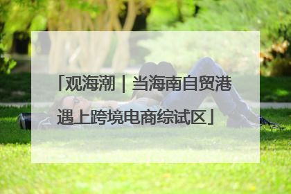 观海潮｜当海南自贸港遇上跨境电商综试区