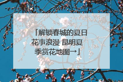 解锁春城的夏日花事浪漫 昆明夏季赏花地图→