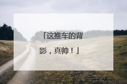 这推车的背影，真帅！