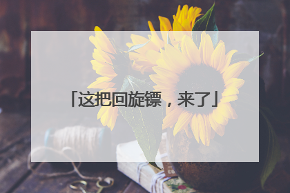 这把回旋镖，来了