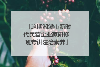 这期湘潭市新时代民营企业家研修班专讲法治素养