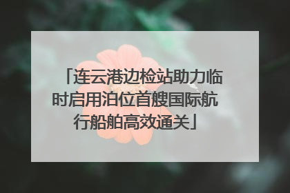 连云港边检站助力临时启用泊位首艘国际航行船舶高效通关