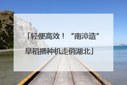 轻便高效！“南漳造”旱稻播种机走俏湖北