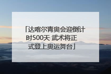 达喀尔青奥会迎倒计时500天 武术将正式登上奥运舞台