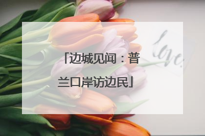 边城见闻：普兰口岸访边民