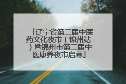 辽宁省第二届中医药文化夜市（锦州站）暨锦州市第二届中医康养夜市启幕