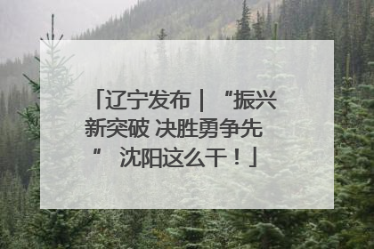 辽宁发布｜“振兴新突破 决胜勇争先” 沈阳这么干！