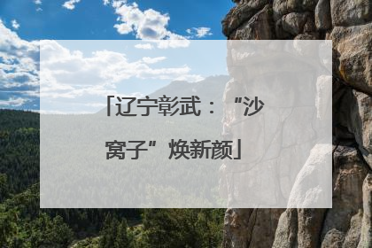 辽宁彰武：“沙窝子”焕新颜