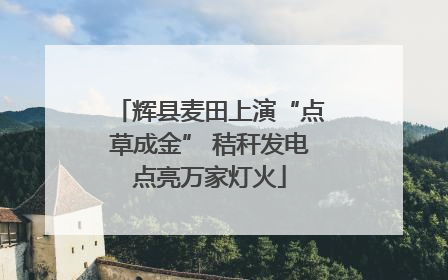 辉县麦田上演“点草成金” 秸秆发电点亮万家灯火