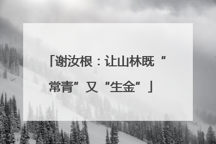 谢汝根：让山林既“常青”又“生金”
