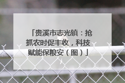 贵溪市志光镇：抢抓农时促丰收，科技赋能保粮安（图）