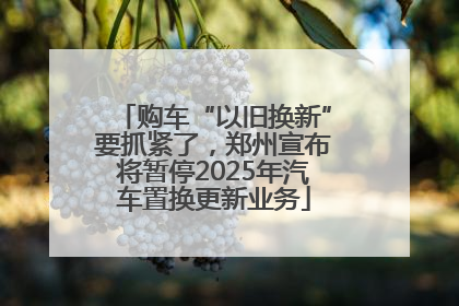 购车“以旧换新”要抓紧了，郑州宣布将暂停2025年汽车置换更新业务