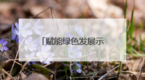 赋能绿色发展示范区升级 中新天津生态城布局绿创产业版图