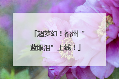 超梦幻！福州“蓝眼泪”上线！